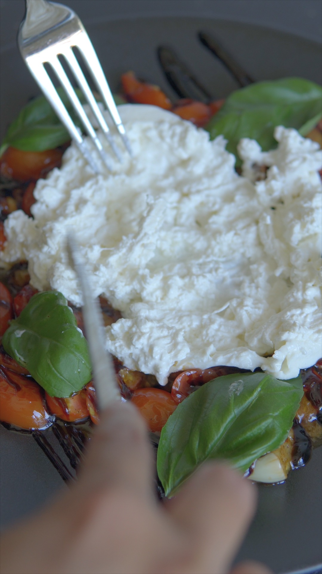 Opened burrata over cherry tomatoes, basil and balsamic glaze
